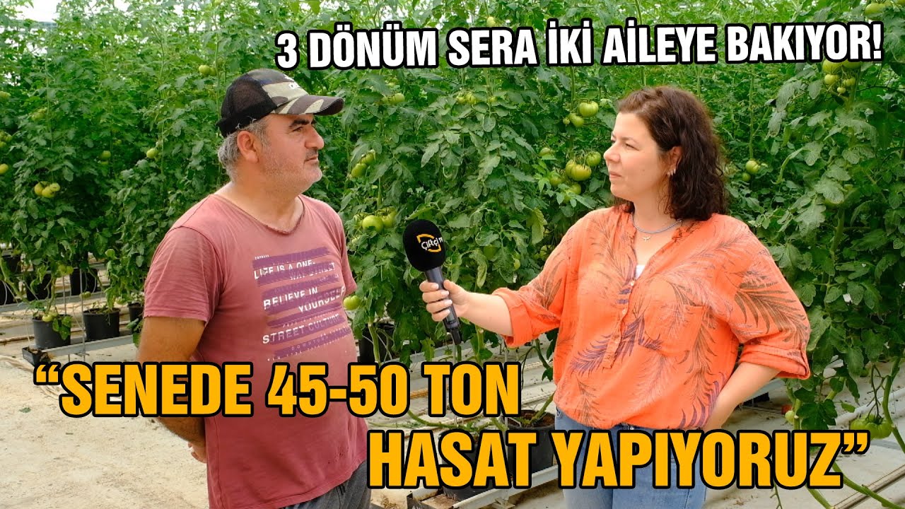 Jeotermal Su ile Isıtılan Seradayız! SENEDE 45-50 TON HASAT / 