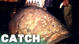 Looking for a Shark, Caught a Giant Grouper | River Monsters | Catch