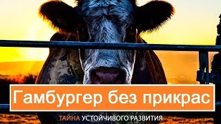 Гамбургер Без Прикрас (Документальный Фильм)