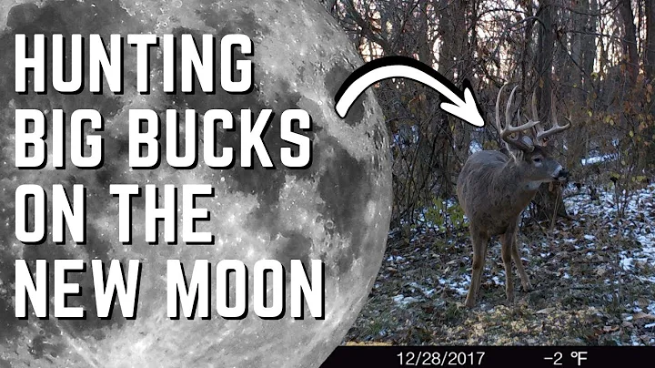 Why You Should Hunt The NEW MOON For BIG BUCKS!