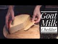 Goat Milk Cheddar - Cheesemaking at Home