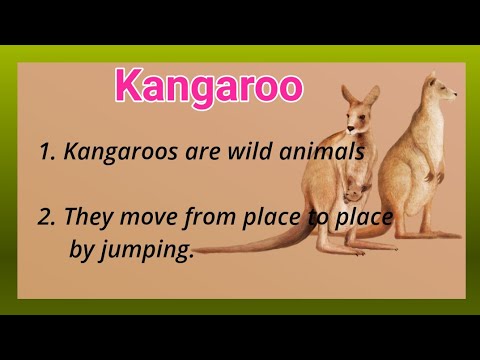 essay on kangaroo in english