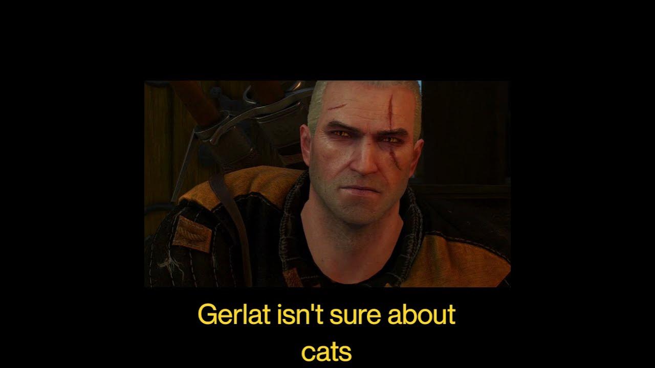 Geralt and cats YouTube