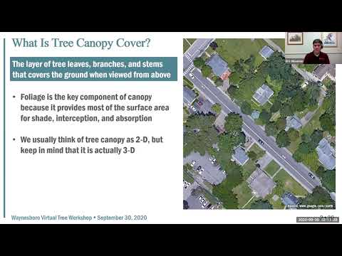 Download Urban Tree Canopy Cover:  Structure, Function and Assessment