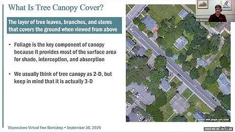 Urban Tree Canopy Cover:  Structure, Function and Assessment