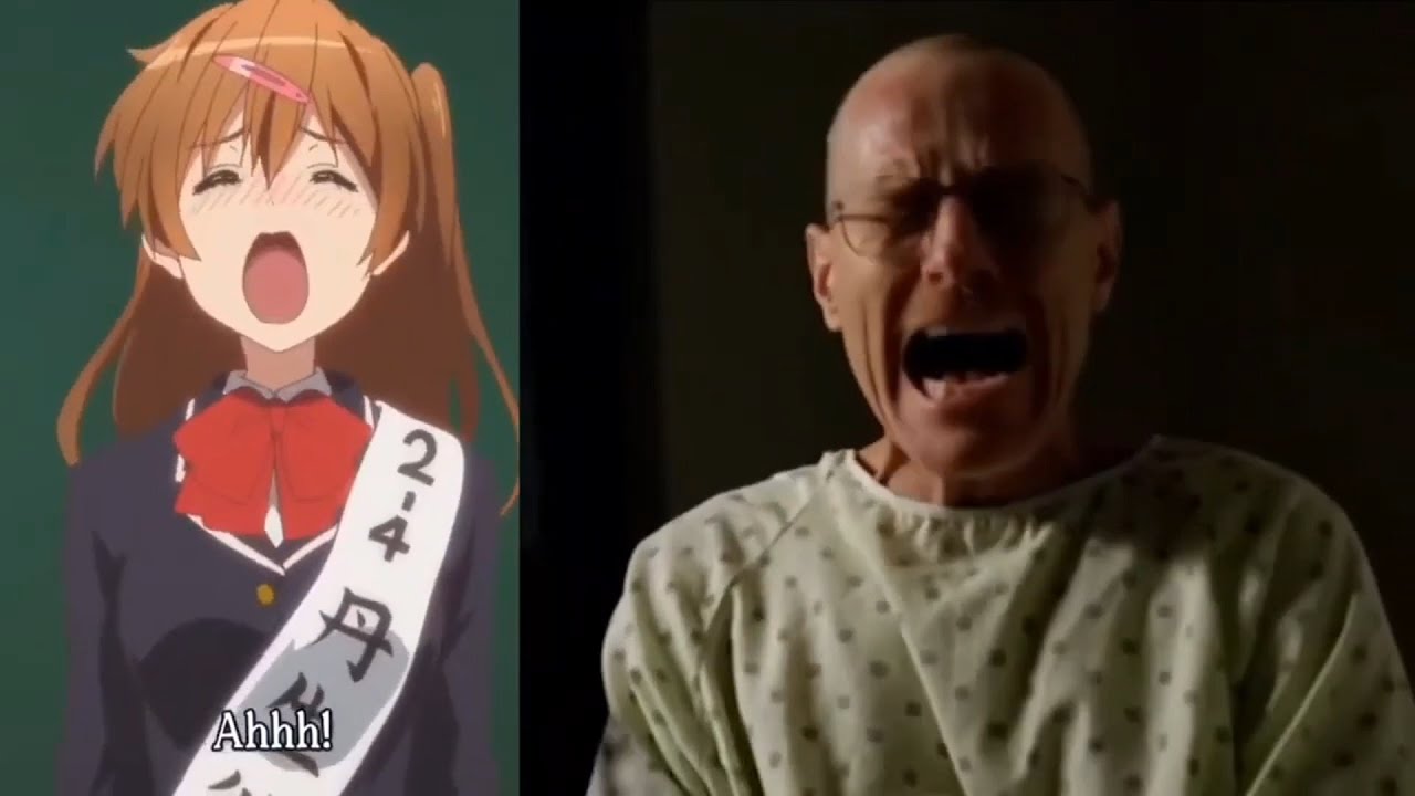 Anime Meme Replaced With Breaking Bad - Compilation 