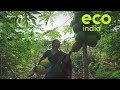 Eco India: How can farmers thrive without using chemical fertilisers?