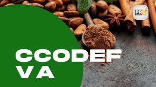 CCODEF's Producers' Desk: A booster to Cameroon's Cocoa and Coffee Production