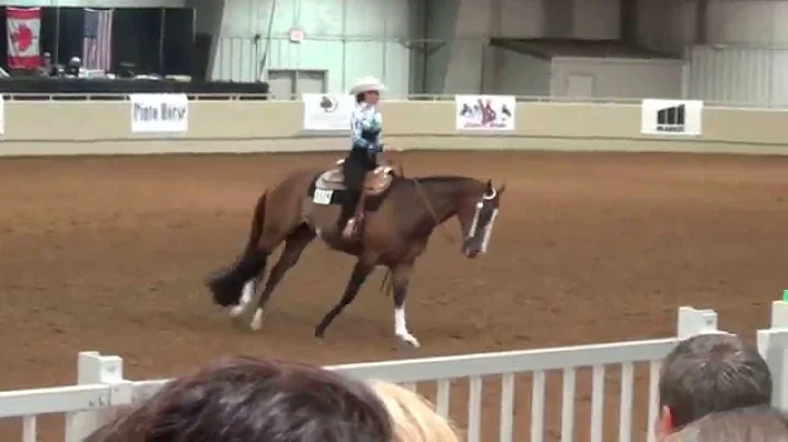 Samantha Floyd & Iron Sensation Pinto Worlds 2014 ...