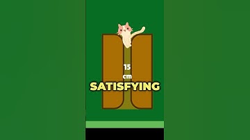 Which cats should I add to my game? #indiedev #gamedev #cats