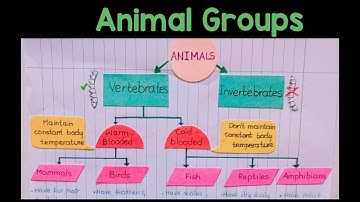 Animal classification Class 1 Science # Olympiads Class1 Science Animals #Preschool learning