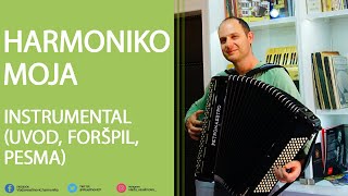 Video-Miniaturansicht von „HARMONIKO MOJA - instrumental (uvod, foršpil, pesma) - Vlada Veselinović“