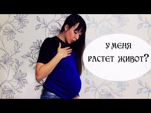 Когда начинает расти живот у беременных? | С какого месяца растет живот? | Наталья Бубнова