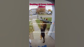 These Sora Ai Videos are WILDIN (We are so Cooked😭)