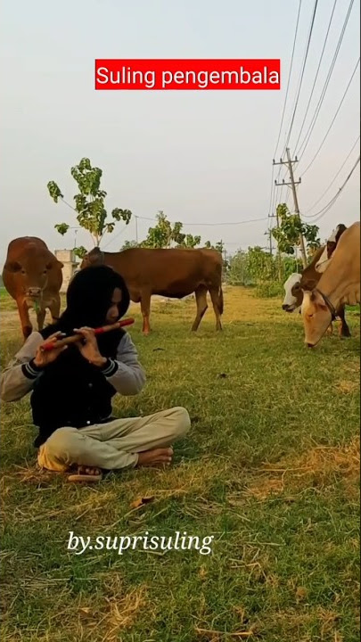 suara suling pengembala #suarasuling #gembala