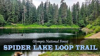 Forest Road 23 Series — Olympic National Forest — Part 3: Spider Lake