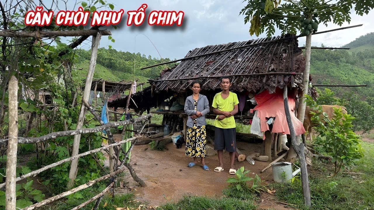 PHÁT HIỆN căn chòi như tổ chim nơi  bà con nghèo MIỀN NÚI đang cư trú../615