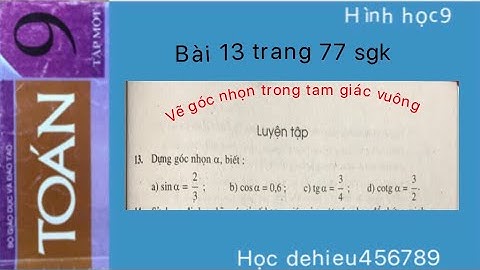 Bài 13 trang 9 sbt 7 tập một