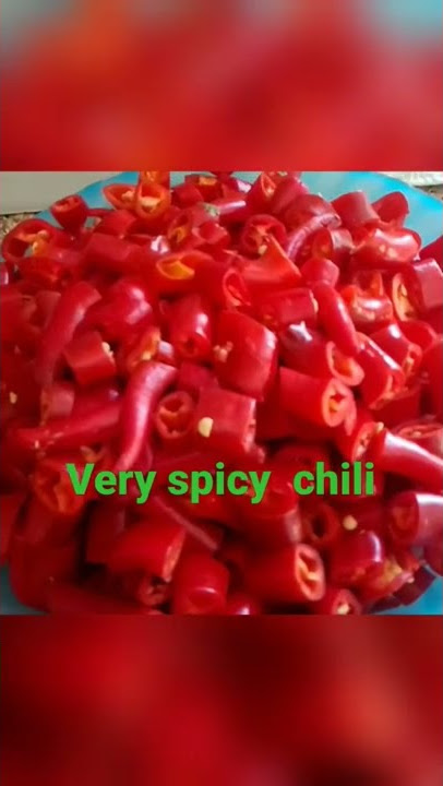 spicy chili @grasya official tv