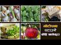 मोटोपना घटाउने केहि खानेकुरा । Food for weight loss foods | food talk | sajilo kitchen