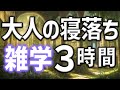 【眠れる男性の声】安眠したい大人の貴方へ雑学朗読3時間【睡眠用・寝ながら聴ける】
