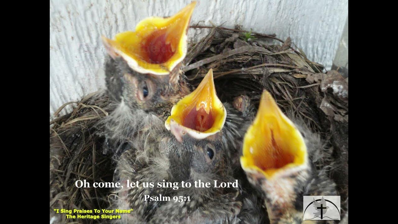 "I Sing Praises To You Name" "Whole Heart" Heritage Singers and Shannon Wexelberg Praise Music Video "I Sing Praises To You Name" "Whole Heart" Heritage Singers and Shannon Wexelberg Praise Music Video
