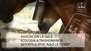 Trashumancia de caballos Asociación La Dula - Reportaje TVE Aqui la tierra