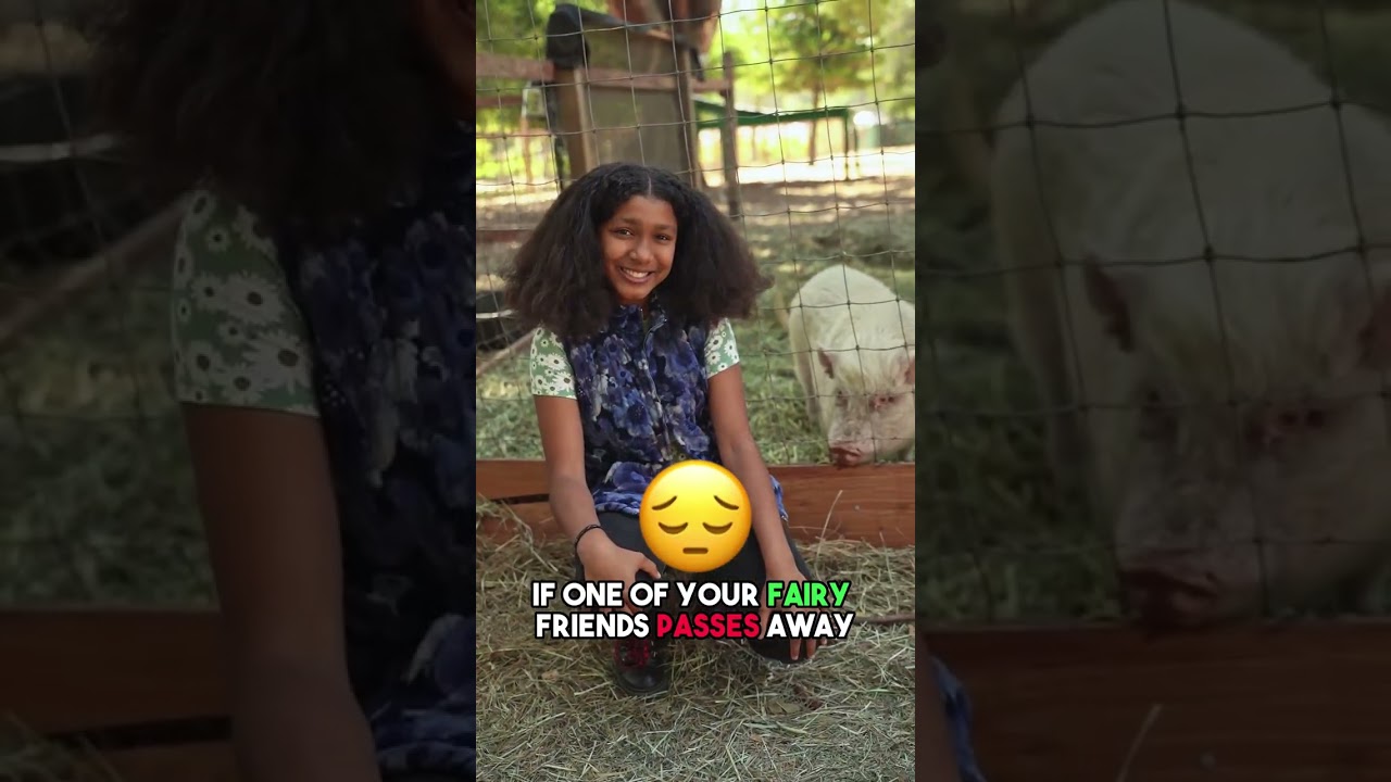 It's illegal to own just one guinea pig in Switzerland 😲