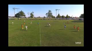 NorCal Showcase - 2025