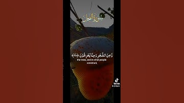سورة النحل #قران_كريم #اكسبلور #دويتو #duet #دويتومع #الرحمن #دويت #تيك_توك #لايك #حالات_واتس