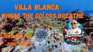 Villa Blanca is where the colors breathe.