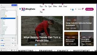 BlogData Blog WordPress Theme  Navigation Menus Typography