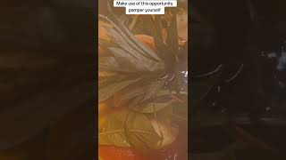 Download Lagu pamper yourself now MP3