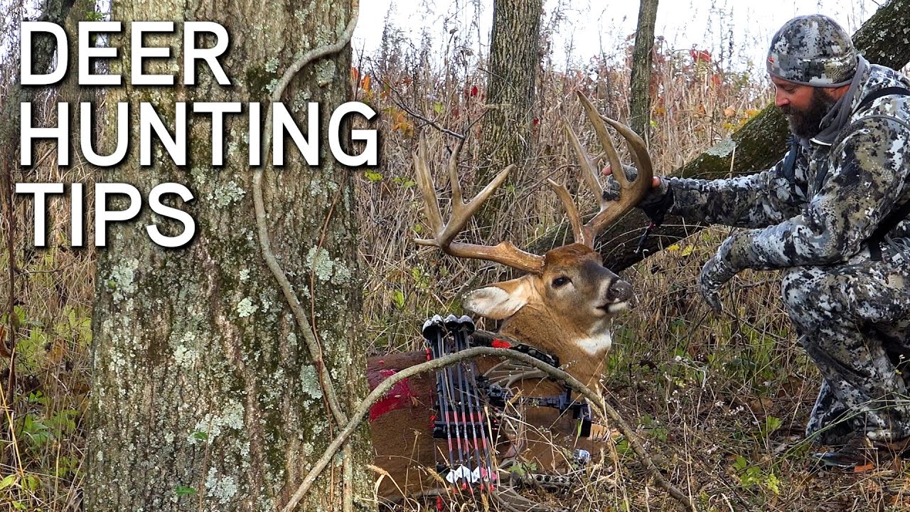Deer Hunting Tips October Cold Fronts Rut Hunting Strategy YouTube