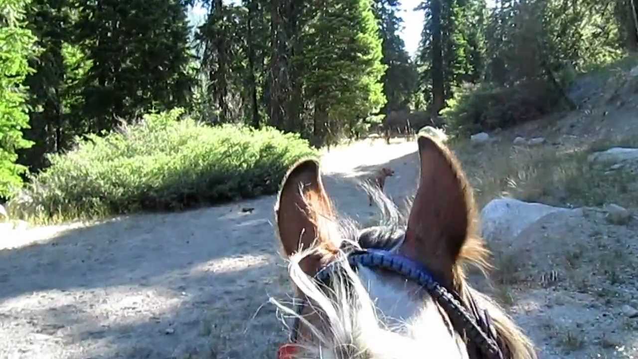 Clark Fork horse camping, Stanislaus NF, CA YouTube