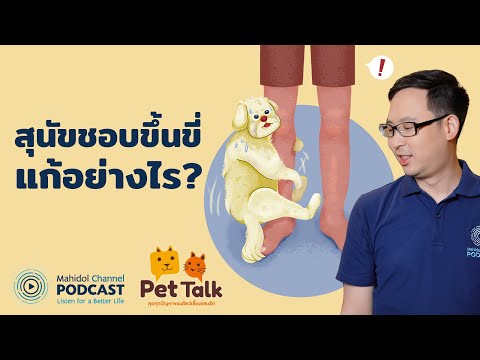 วีดีโอ: Pet Talk: การควบคุมหมัดและเห็บ