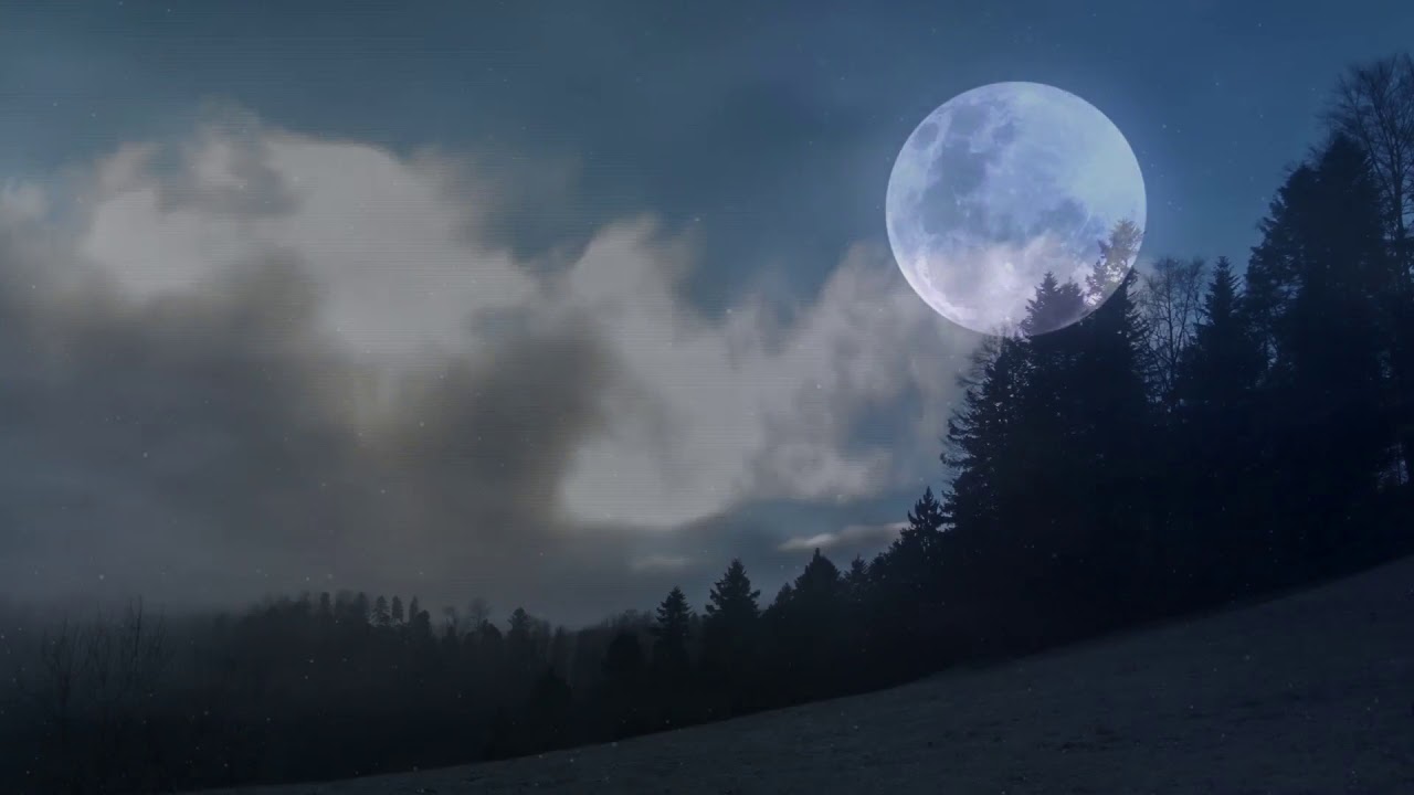 بكاء الشيخ عبدالله السعد عند حديثه عن قتيبة بن سعيد