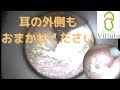 耳掃除 vol.107「耳の外側もおまかせください」(ear wax removal)イヤーエステサロンVillalo～ヴィラロ～