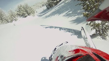 800 Polaris Dragon  Boondocker Turbo