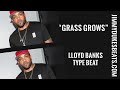 Grass grows lloyd banks x nas type beat