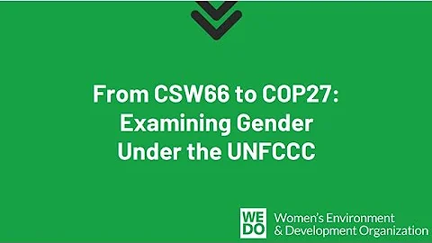 From CSW66 to COP27: Examining Gender Under the UNFCCC