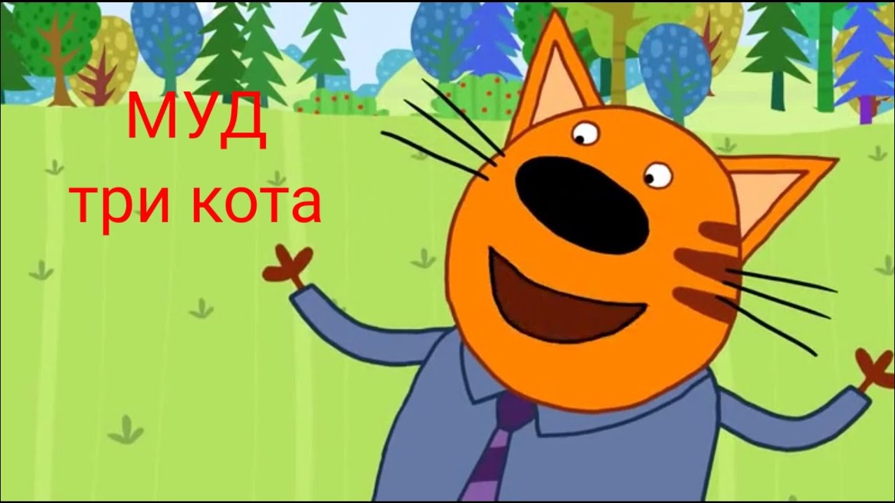 Ауди 3 кота