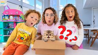 CHEGOU UM PRESENTE MISTERIOSO AQUI EM CASA… UM GATINHO! 🐱🎁 - FAMÍLIA BELLA E LUCCA SHOW