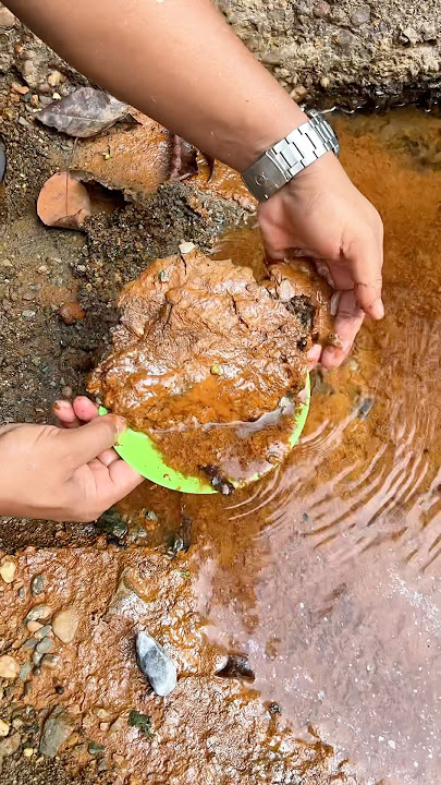 Wow.., Shocked the world 😱‼️Amazing gold discovery in the scary river. #goldprospecting #goldrush