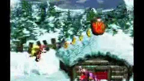 Donkey Kong Country 3: Skidda