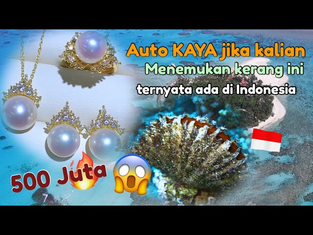 3 Mutiara termahal di Dunia ‼️ No.3 ada di salah satu pulau Indonesia class=