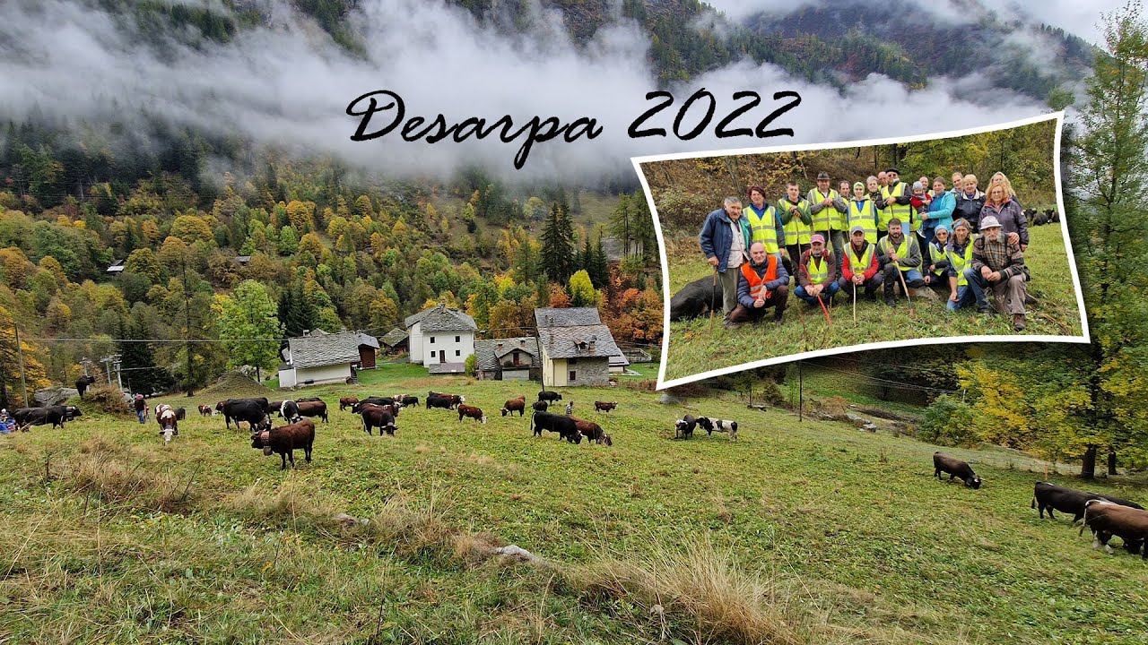 DESARPA 2022 Alpeggio Montil Gressoney st Jean    Casa Colombit Fontainemore