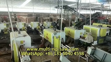 Production Line for Making Blockboards Log Multi Rip Saw Machine Intelligent Board Edger Sawmills