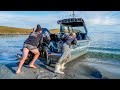 Stabicraft® 1850 Supercab X1 - South Island Hunting &amp; Fishing Adventure!