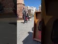 Detrash de picasso es – street artist Barcelona, urban art clip, Francisco de Pájaro